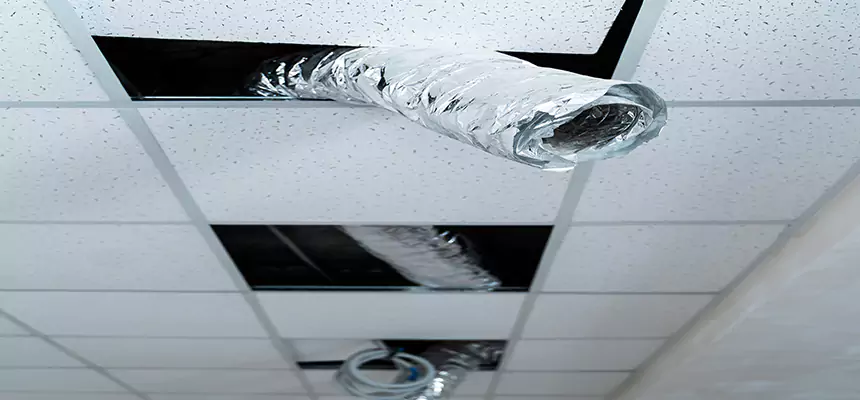 Affordable HVAC Sanitizing After Pest Removal in Waxahachie