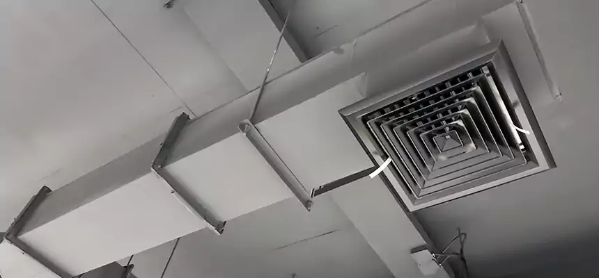 Our Rodent Droppings In Vents Services in Waxahachie, TX