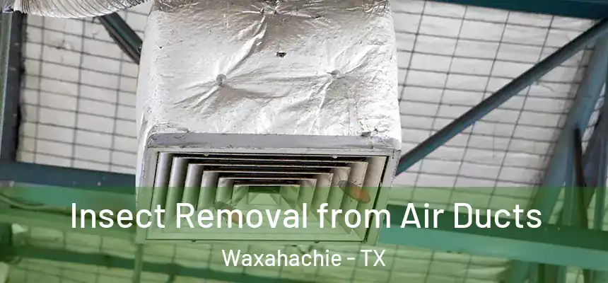  Insect Removal from Air Ducts Waxahachie - TX
