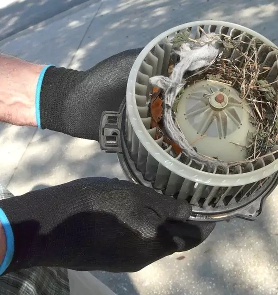 About Air Duct Mice Removal in Waxahachie, TX