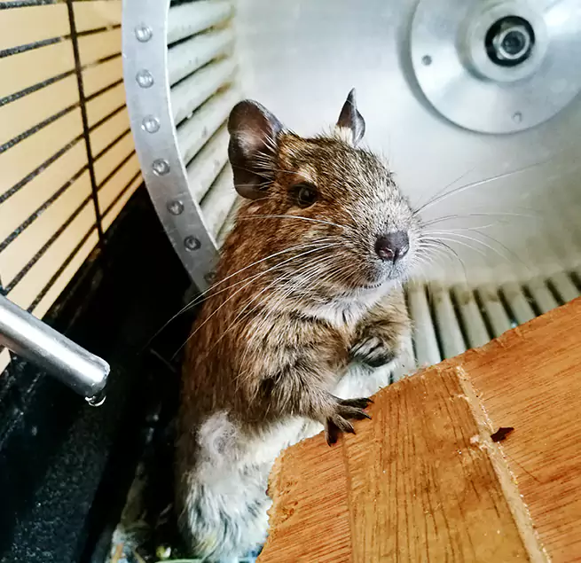 Why Homeowners & Businesses Trust Us Waxahachie, TX?